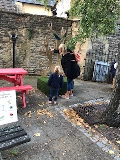 Having Fun on the Insect Hunt!